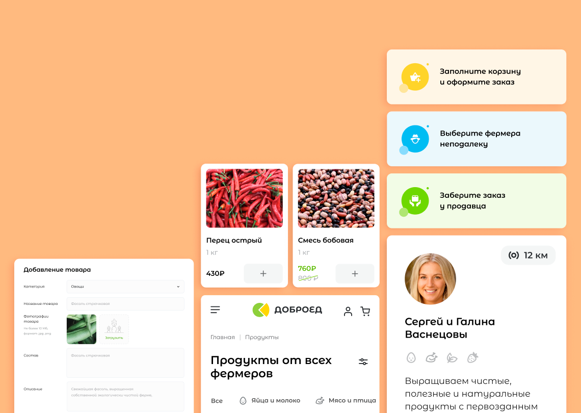 Návrh, design a vývoj maloobchodní platformy potravin Dobroed